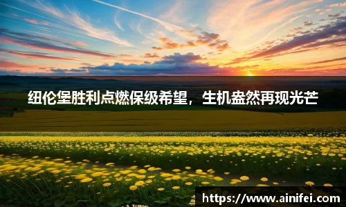九游娱乐